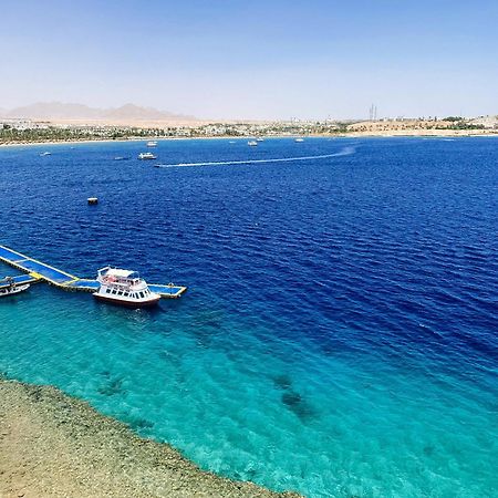 Halomy Sharm Resort المظهر الخارجي الصورة