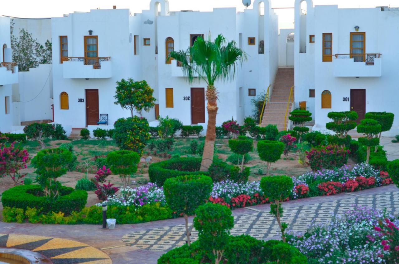 Halomy Sharm Resort المظهر الخارجي الصورة