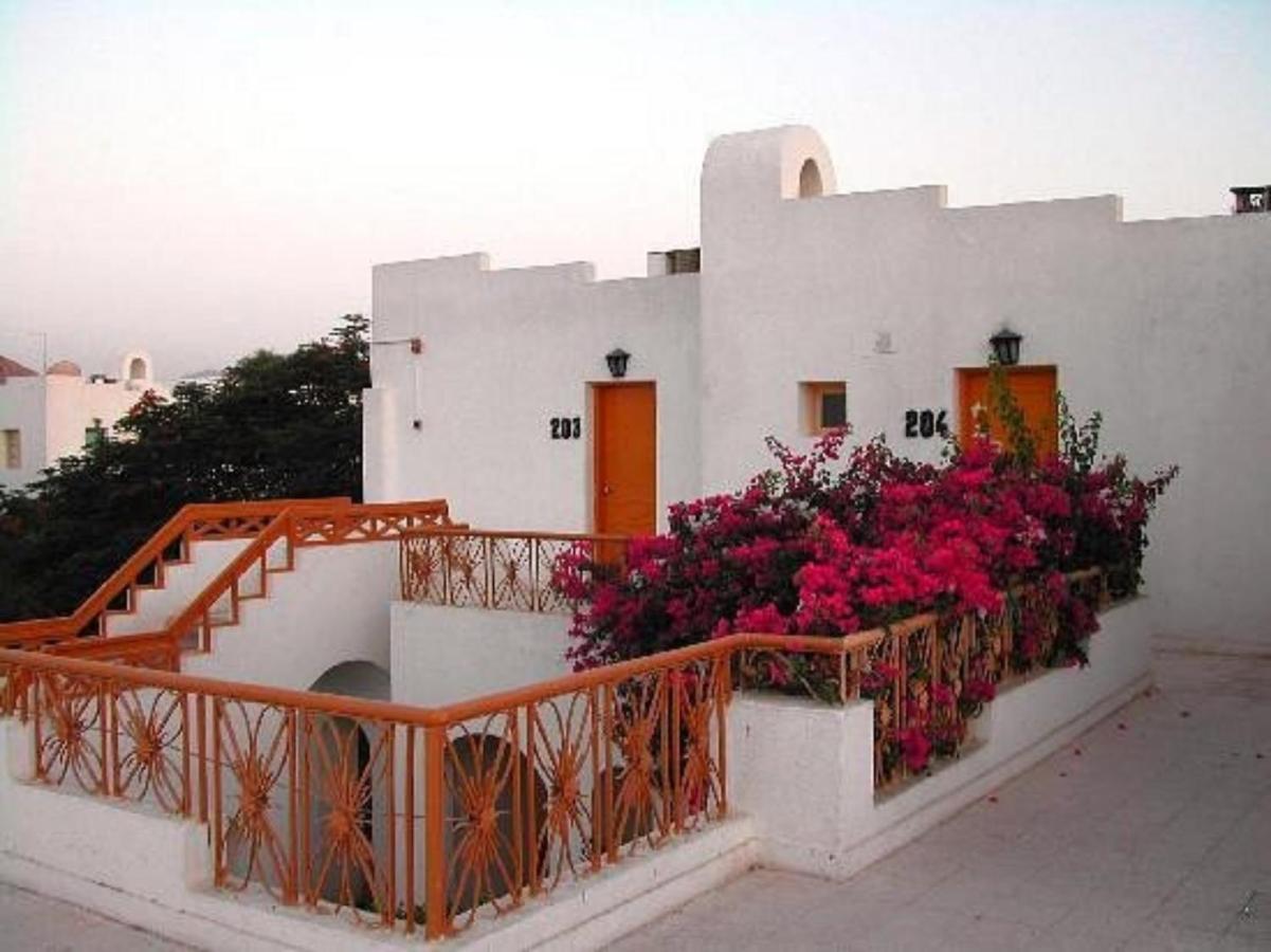 Halomy Sharm Resort المظهر الخارجي الصورة
