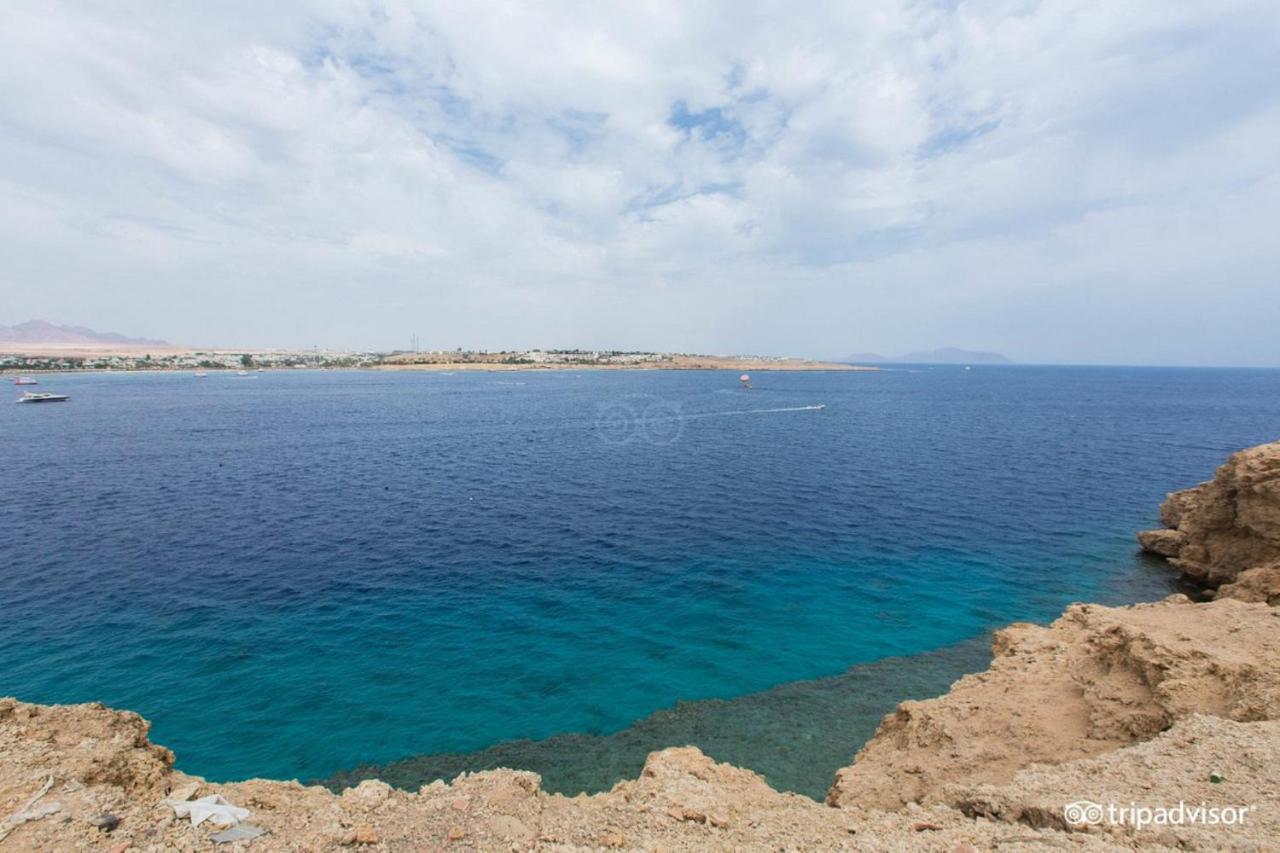Halomy Sharm Resort المظهر الخارجي الصورة